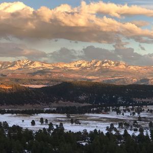 Meet your Posher, Carole